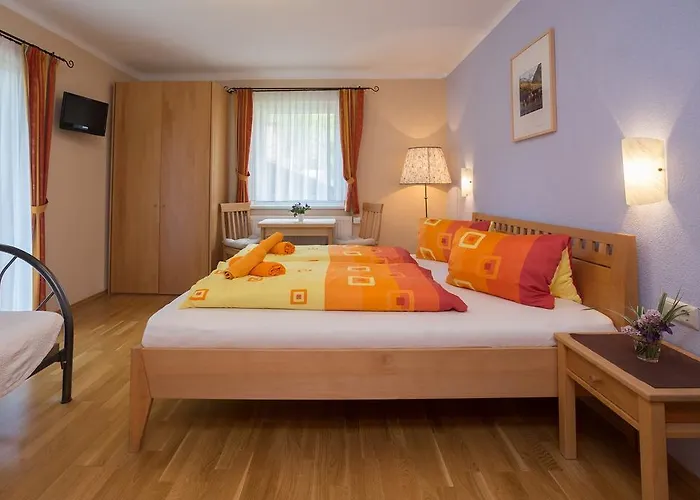 Saeuleck Appartement Mit Mobilitaetspass Apartment Mallnitz